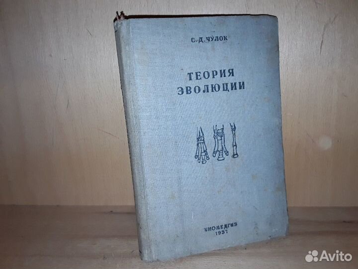 Чулок С.Д. Теория эволюции. 1937 г