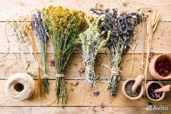 Сбор антимикозного действия