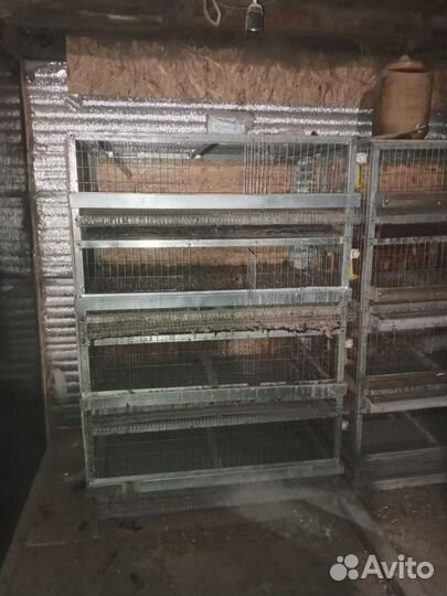 Клетки для перепелов бу