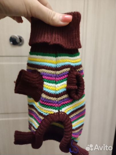 Одежда для маленьких собак