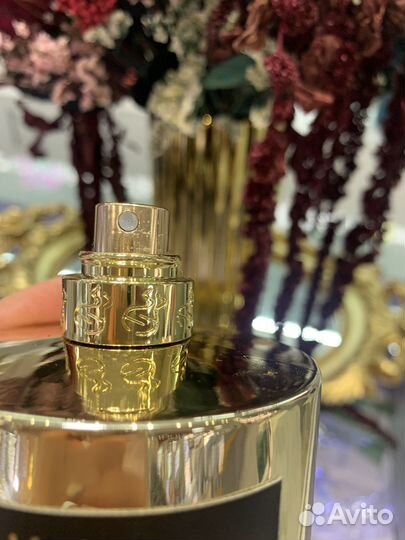 Kirke tiziana terenzi