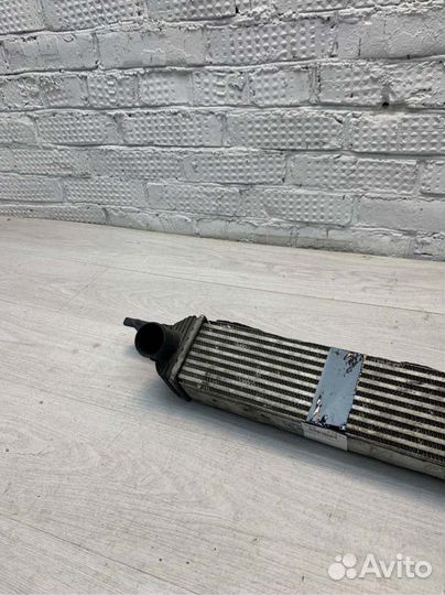 Интеркулер Ssangyong Actyon New CK D20DTF 2011