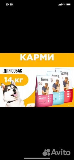 Сухой корм для собак