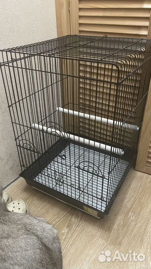 Новая клетка для попугая