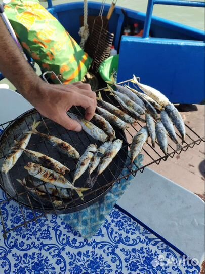 Экскурсия Рыбалка в открытом море 