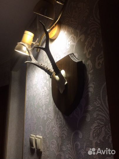 Вешалка- рога косули