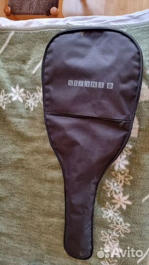 Акустическая гитара Thunder