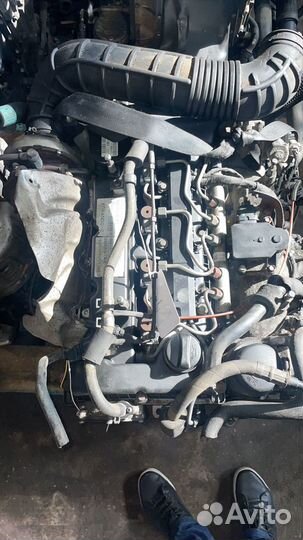 Двигатель d20dtf ssangyong актион