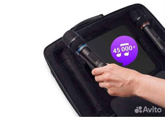 Караоке для дома с микрофонами Evobox plus