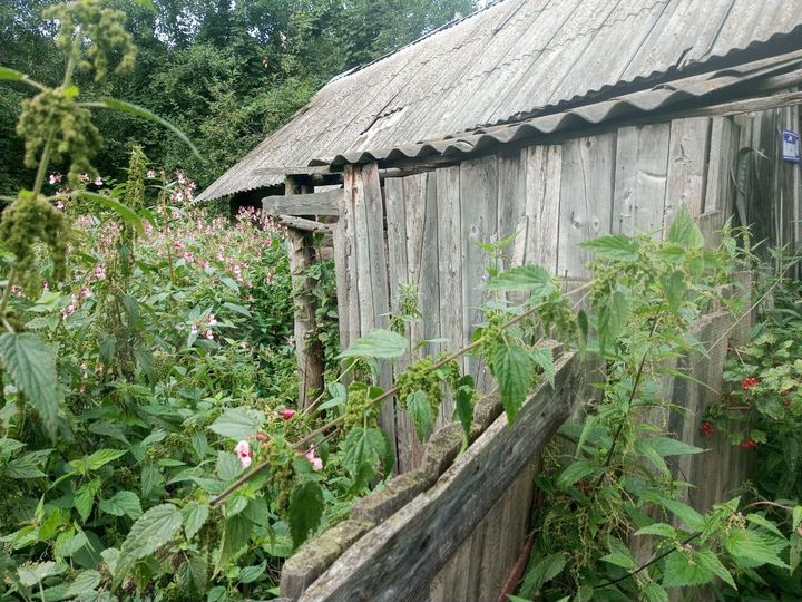 Участок 9,5 сот. (ИЖС)