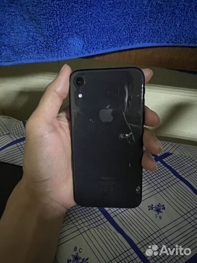 iPhone Xr, 256 ГБ