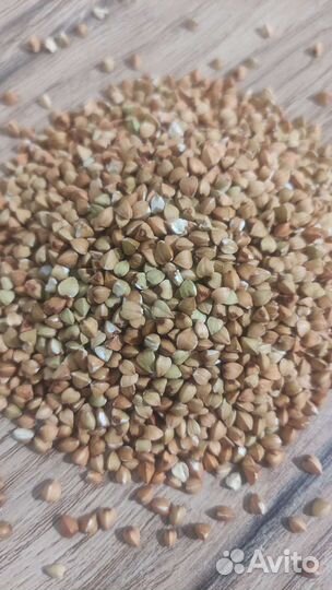 Зеленая гречка