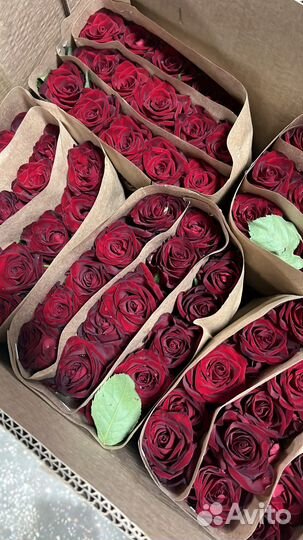 Оптовая база цветы, цветы оптом с доставкой