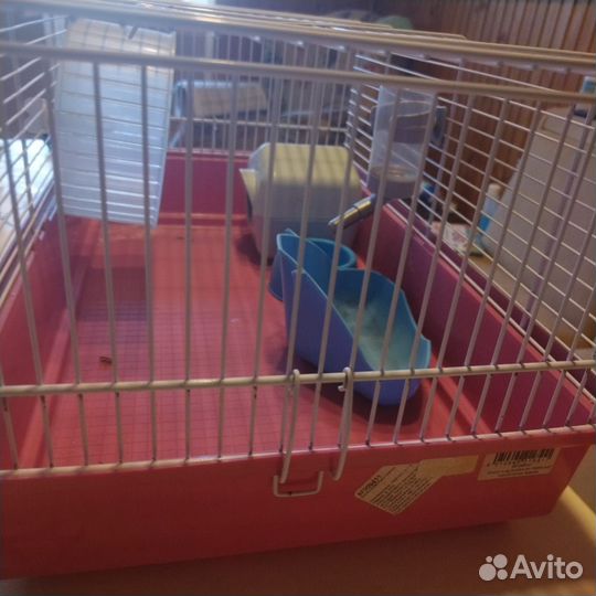 Товары для животных