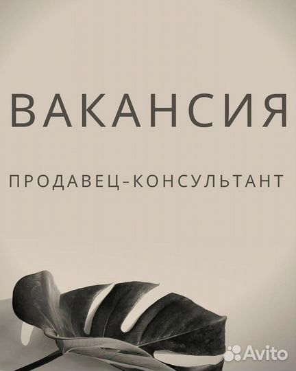 Продавец-консультант