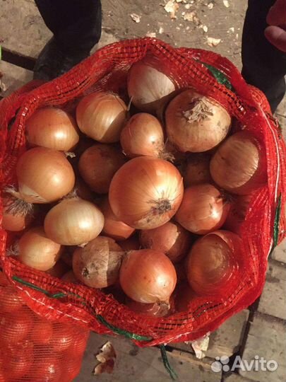 Картофель продам