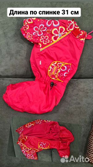 Одежда для собак