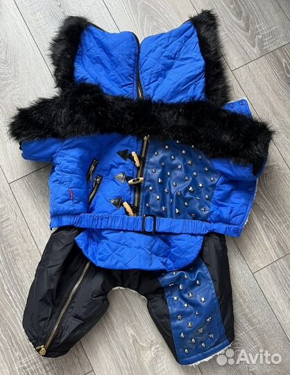 Одежда для собак