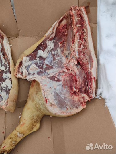 Мясо свинина домашняя,поросята для вертела