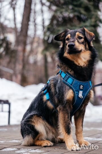 Подарите дом