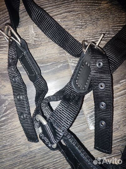 Ошейник и шлейка для большой собаки