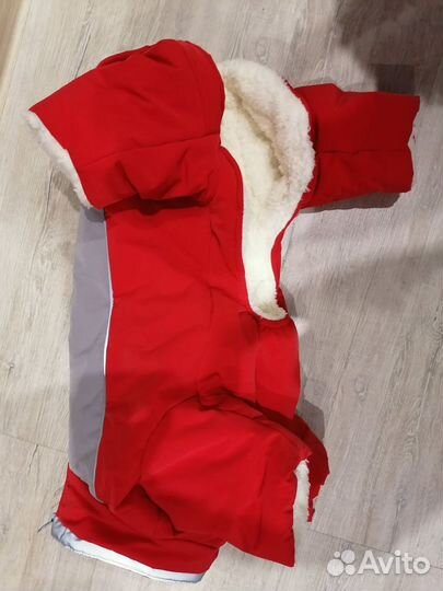 Новый зимний комбинезон для собак