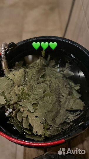 Дубовые веники для бани