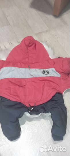 Продам зимний костюм для собак