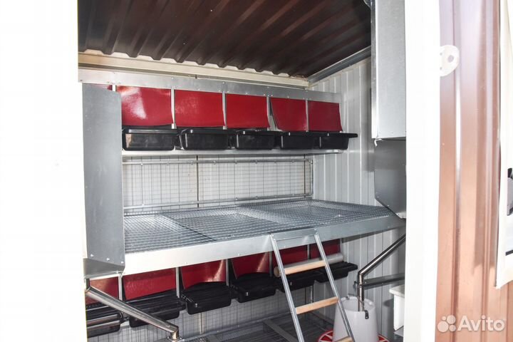 Курятник автономный неделя без забот