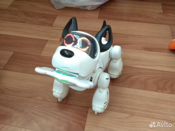 Собака-Робот Pupbo