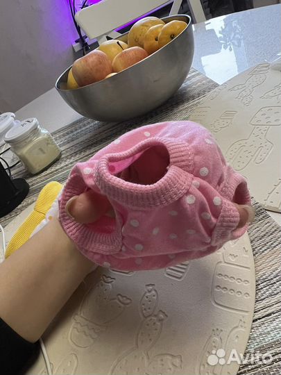 Одежда для собак мелких пород