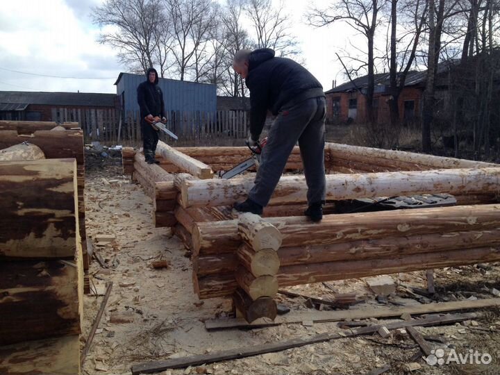 Срубы из Шексны