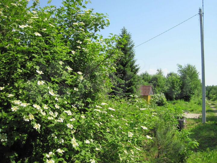 Участок 6 сот. (СНТ, ДНП)