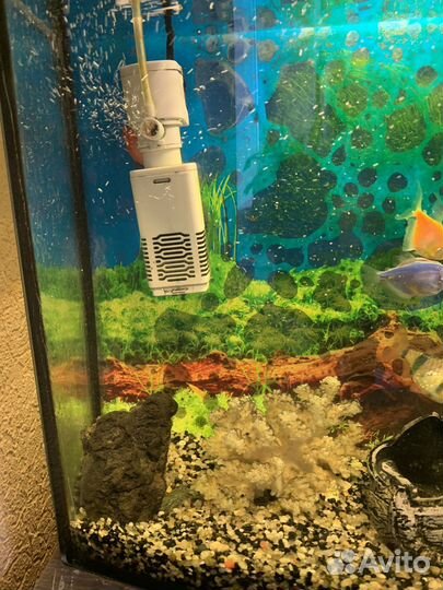 Аквариум с рыбками и оборудованием