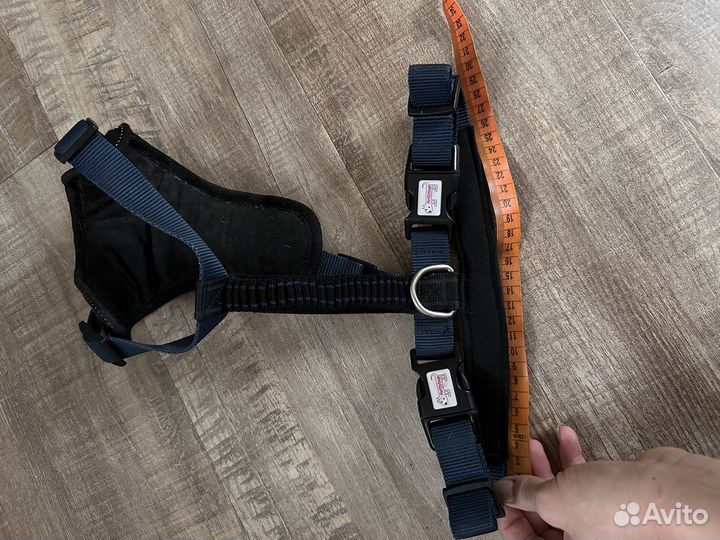 Шлейка для собак