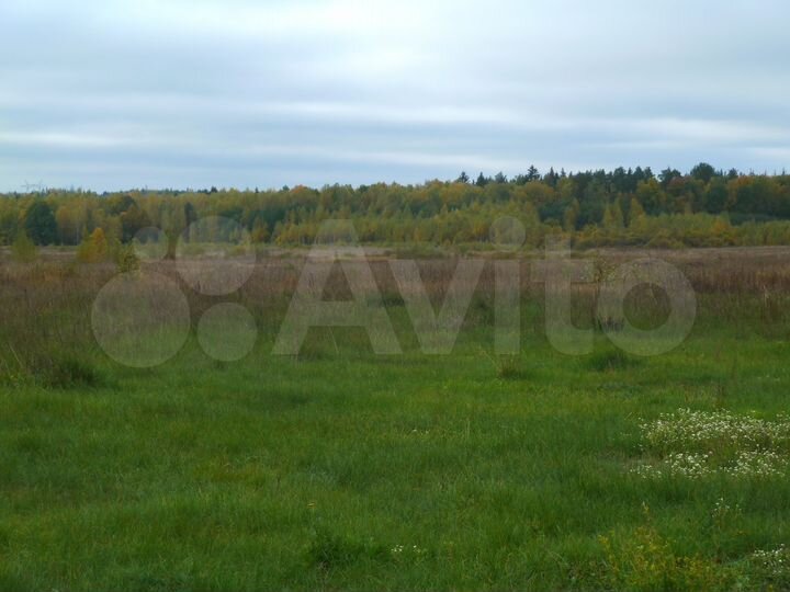 Участок 2,5 га (СНТ, ДНП)