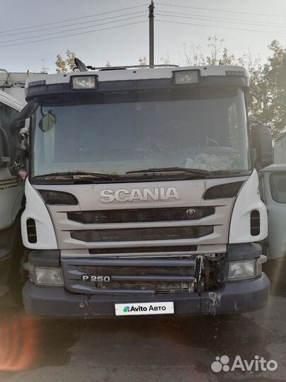 Scania P 250, 2013