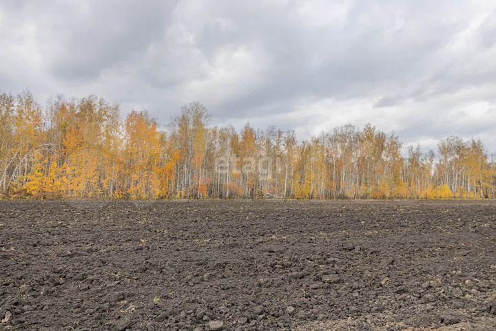 Участок 9,8 сот. (СНТ, ДНП)