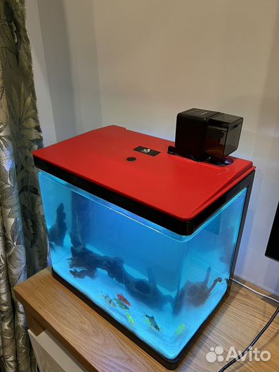 Готовый аквариум с рыбками