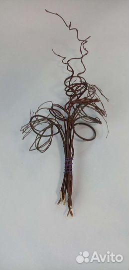 Сухоцвет, декор для фото