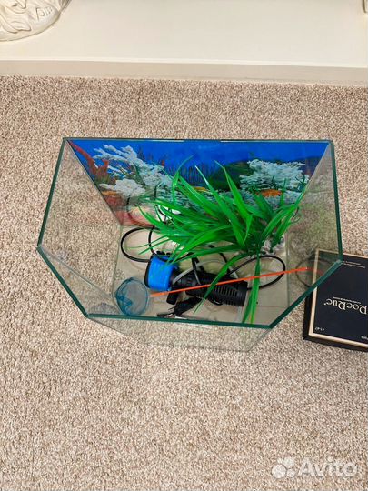 Аквариум