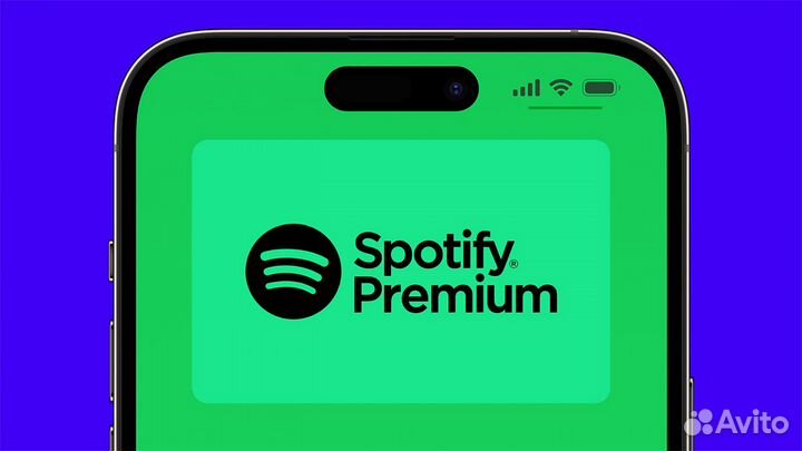 Spotify Premium Подписка 3/6/12/18 мес