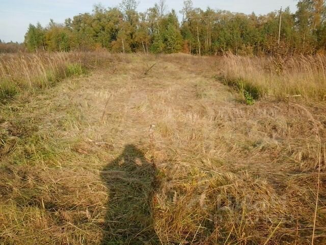 Участок 25 сот. (ИЖС)