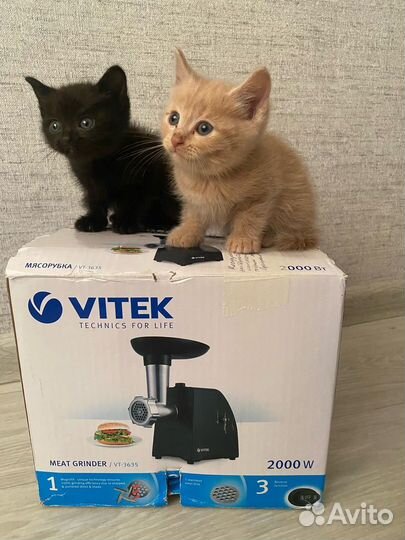 Мясорубка электрическая новая