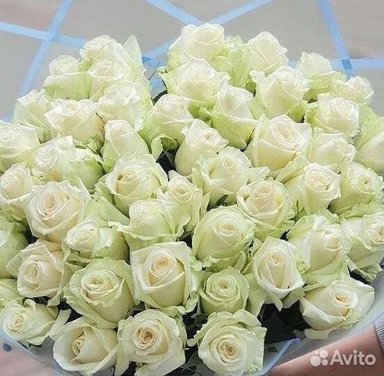 Цветы розы букеты 25 31 35 51 101 251 Доставка