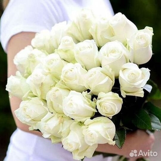 101 Роза Цветы Букеты 51 25 Роз Доставка