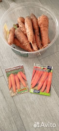 Морковь новый урожай