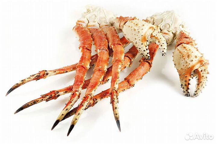 Краб Камчатский конечности/Крупный/Свежак