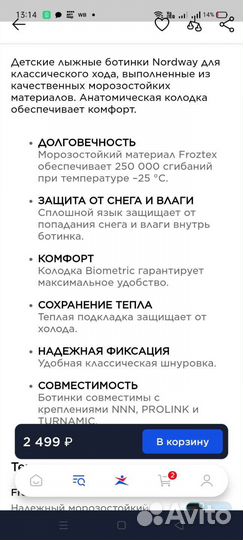 Лыжные ботинки