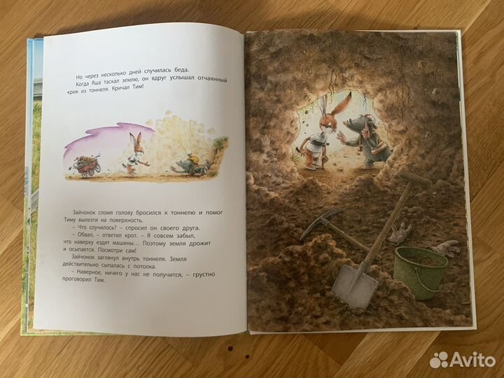 Книга Вместе мы всё сможем Ханс де Беер